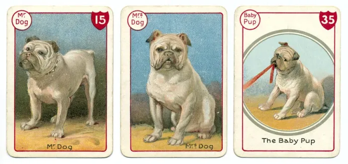 Framed Print : Three dog playing cards Victorian animal families game Framed Print : Three dog playing cards Victorian animal families game