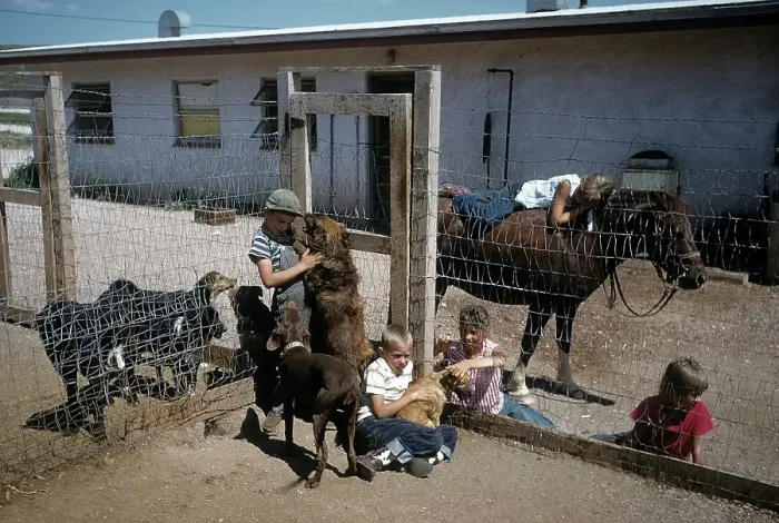 Framed Print : DOG POUND IN SOUTH DAKOTA Framed Print : DOG POUND IN SOUTH DAKOTA