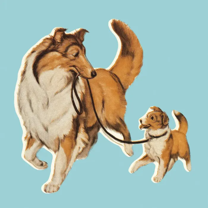 Framed Print : Dog with Puppy on Leash Framed Print : Dog with Puppy on Leash