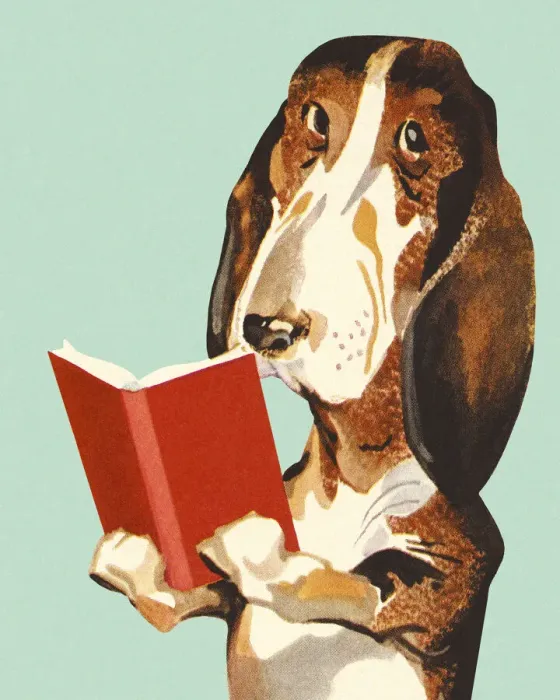 Framed Print : Dog Reading a Book