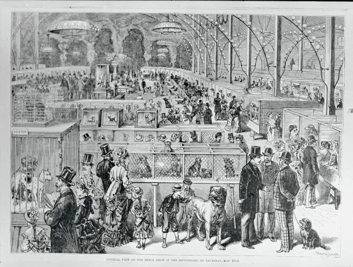 Framed Print : Dog Shows. General view of the Bench show in the Hippodrome, NY, 1877 Framed Print : Dog Shows. General view of the Bench show in the Hippodrome, NY, 1877