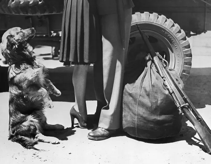 Framed Print : Dog Sits Up While Soldier Says Goodbye Framed Print : Dog Sits Up While Soldier Says Goodbye