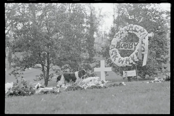 Framed Print : Dog Standing Near Robert F. Kennedy Gravesite