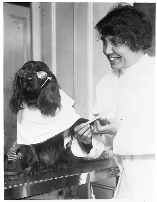 Framed Print : Dog In Sunglasses Getting Manicure Framed Print : Dog In Sunglasses Getting Manicure