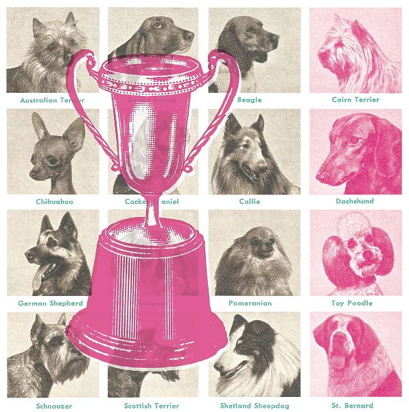 Dog show trophy. http: /  / csaimages.com / images / istockprofile / csa_vector_dsp.jpg