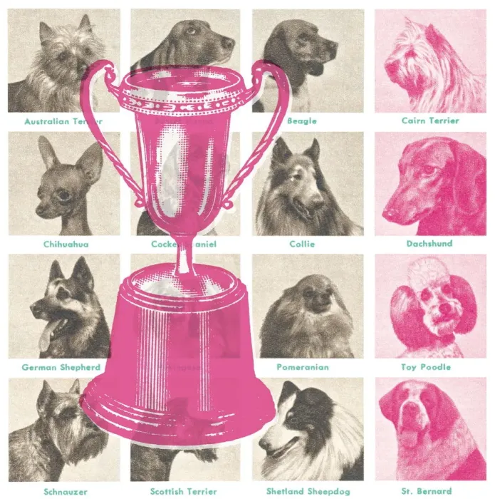 Framed Print : Dog show trophy Framed Print : Dog show trophy