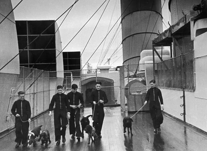 Framed Print : Dog Walkers Framed Print : Dog Walkers