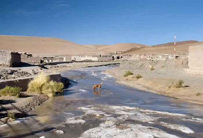 Framed Print : a dog walking on a frozen stream Framed Print : a dog walking on a frozen stream