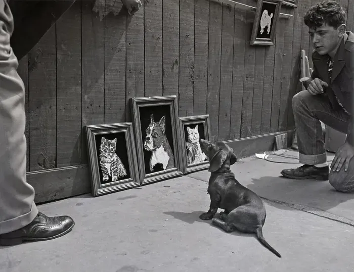 Framed Print : Dog Waxes Critical At Cat And Dog Painti Framed Print : Dog Waxes Critical At Cat And Dog Painti