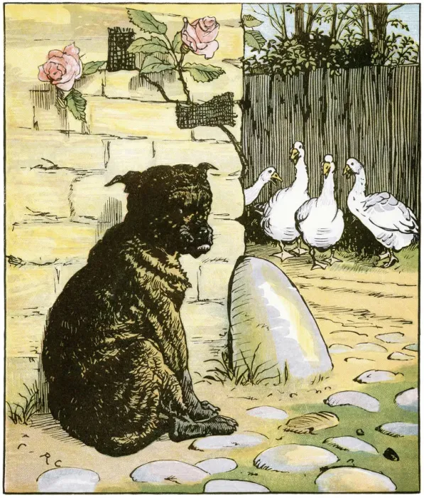 Framed Print : Dog that worried the Cat Framed Print : Dog that worried the Cat