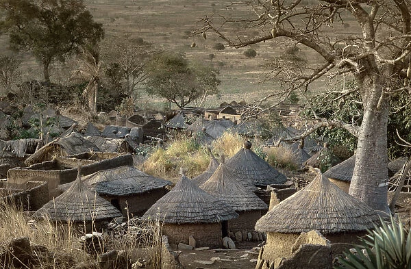 Dogon village, Dogon land, Tireli, Mali, Africa