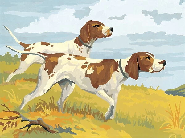 Two dogs. http: /  / csaimages.com / images / istockprofile / csa_vector_dsp.jpg