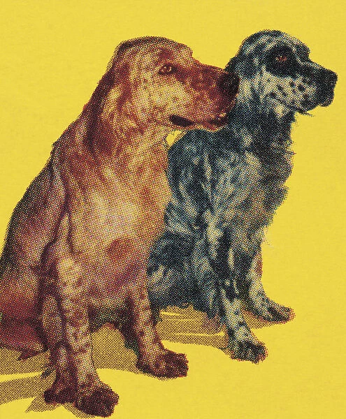 Two Dogs. http: /  / csaimages.com / images / istockprofile / csa_vector_dsp.jpg