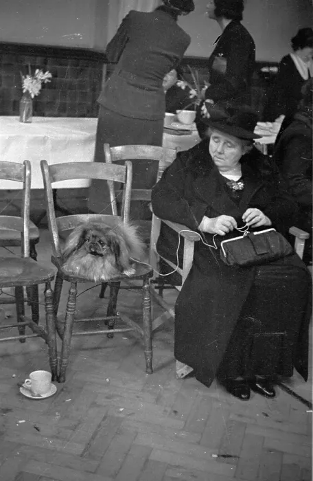 Framed Print : Dog's Chair Framed Print : Dog's Chair