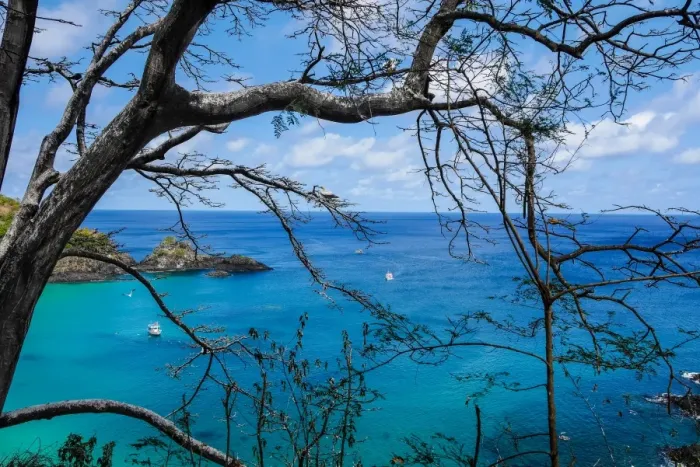 Framed Print : Dolphins Bay