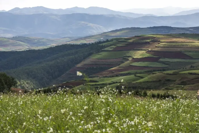 Framed Print : Dongchuan hongtu di Framed Print : Dongchuan hongtu di