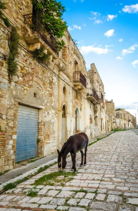 Framed Print : Donkey in Craco - The ghost town Framed Print : Donkey in Craco - The ghost town