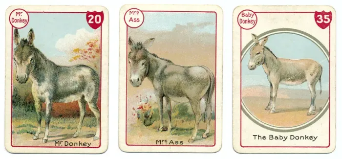 Framed Print : Three donkey playing cards Victorian animal families game Framed Print : Three donkey playing cards Victorian animal families game