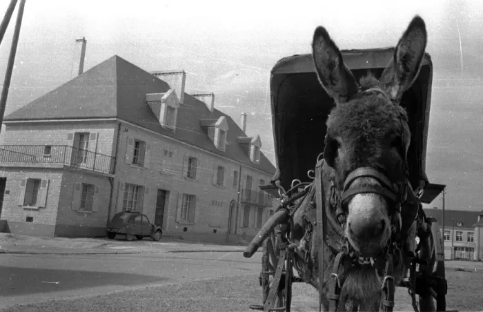 Framed Print : Donkey Ride Framed Print : Donkey Ride