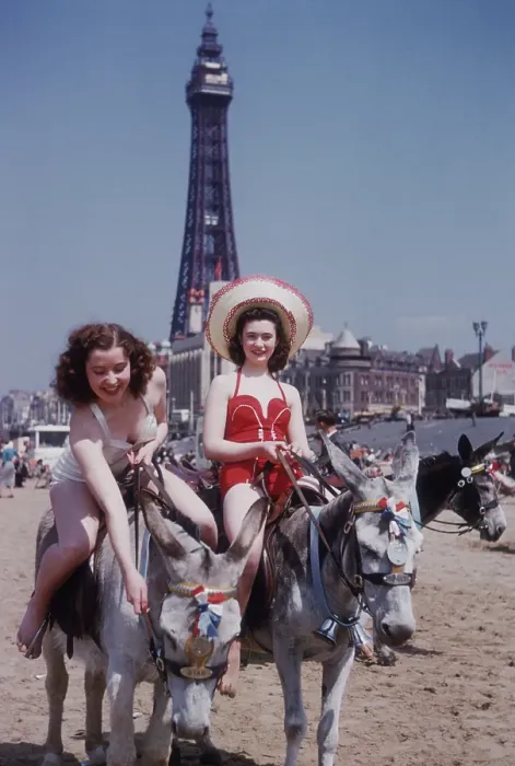 Framed Print : Donkey Rides At Blackpool