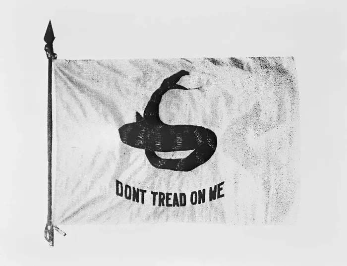 Framed Print : Don't Tread on Me Flag Framed Print : Don't Tread on Me Flag