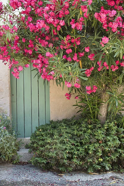 Doorway St Michel L Observatoire, Provence, France