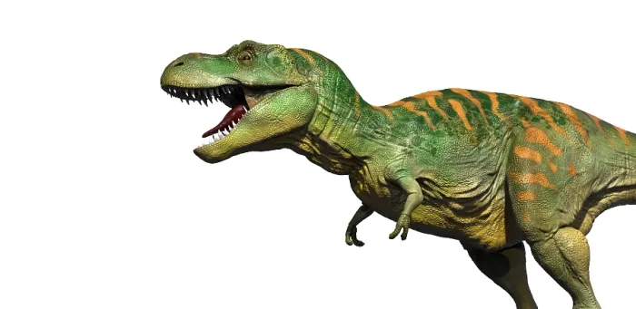 Framed Print : T.Rex. Dorling Kindersley Prints Framed Print : T.Rex. Dorling Kindersley Prints
