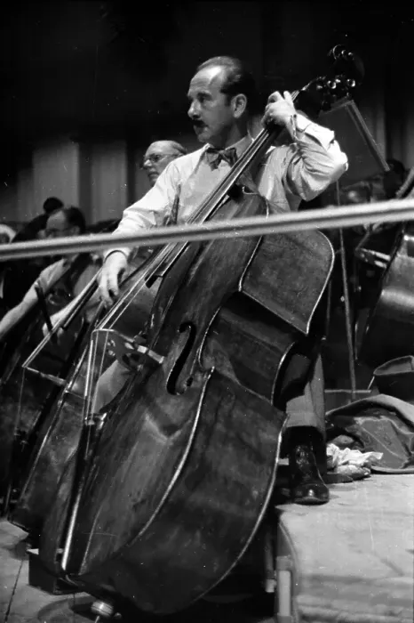 Framed Print : Double Bassist Framed Print : Double Bassist
