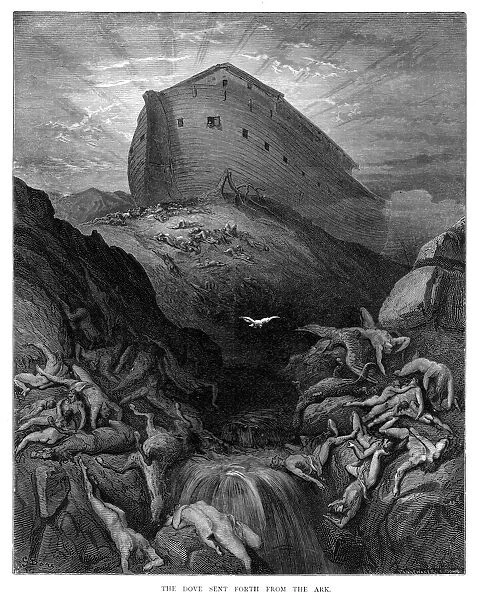 The dove sent from the ark engraving 1870