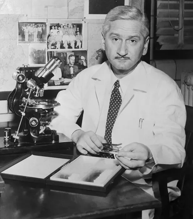 Framed Print : Dr. Albert Sabin Sitting at his Desk Framed Print : Dr. Albert Sabin Sitting at his Desk