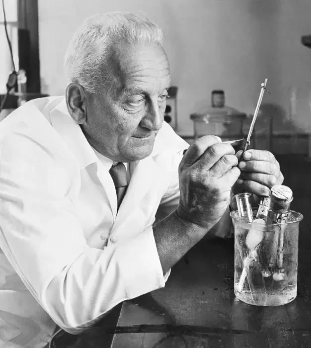 Framed Print : Dr. Albert Szent-Gyorgyi Busy at Work