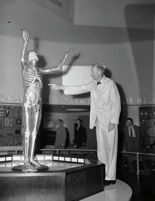 Framed Print : Dr. Emerson Pointing to Transparent Man Framed Print : Dr. Emerson Pointing to Transparent Man