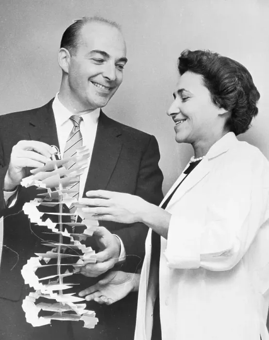 Framed Print : Dr. and Mrs. Arthur Kornberg Smiling with DNA Model Framed Print : Dr. and Mrs. Arthur Kornberg Smiling with DNA Model