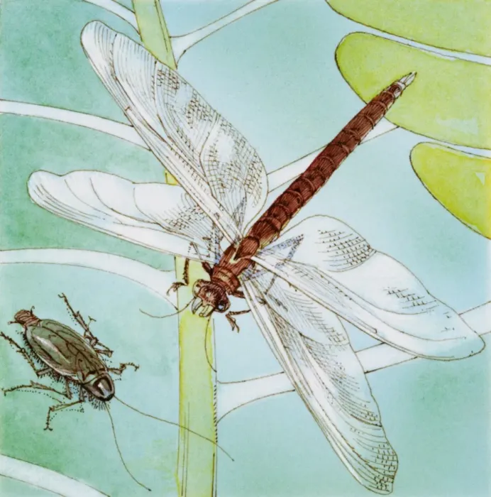 Framed Print : Dragonfly (Anisoptera), on stem of plant, and bug below, elevated view Framed Print : Dragonfly (Anisoptera), on stem of plant, and bug below, elevated view