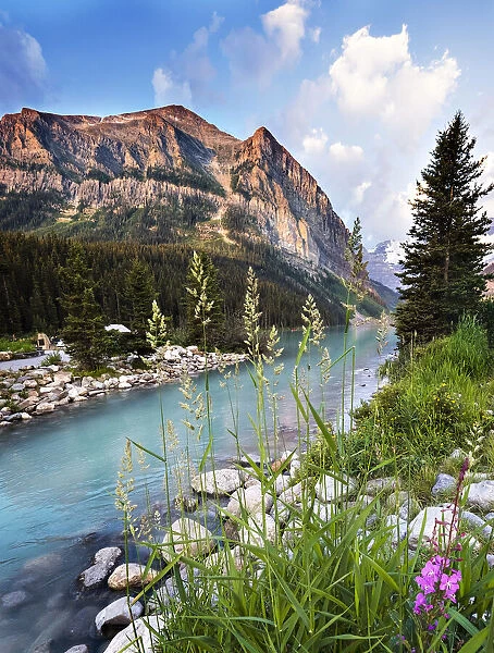 Dramatic Landscape with Flowers, Grass, Mountains and Water at Lake Louise