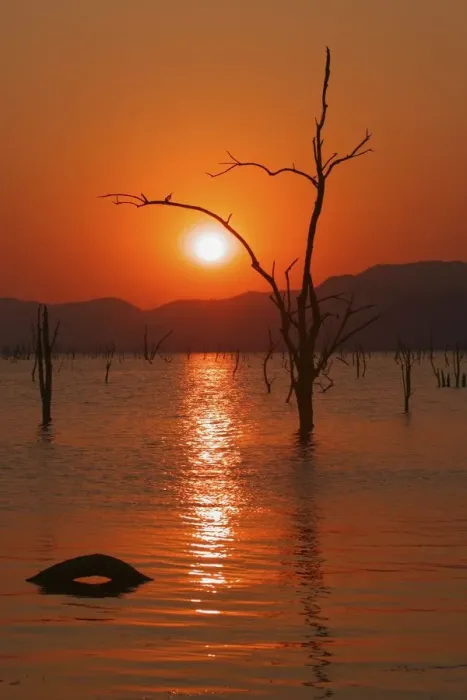 Framed Print : Dramatic sunset over Lake Kariba. Zimbabwe, Southern Africa Framed Print : Dramatic sunset over Lake Kariba. Zimbabwe, Southern Africa