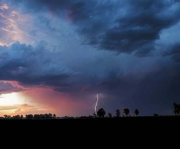 A dramatic thunderstorm at sunset with a forked lightning strike against a dramatically lit sky. Magaliesburg, Gauteng Province, South Africa