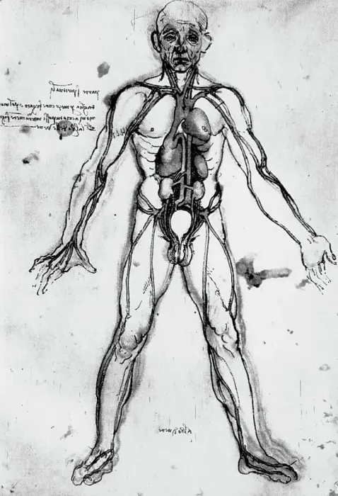 Framed Print : Drawing of an Anatomical Figure by Leonardo da Vinci Framed Print : Drawing of an Anatomical Figure by Leonardo da Vinci