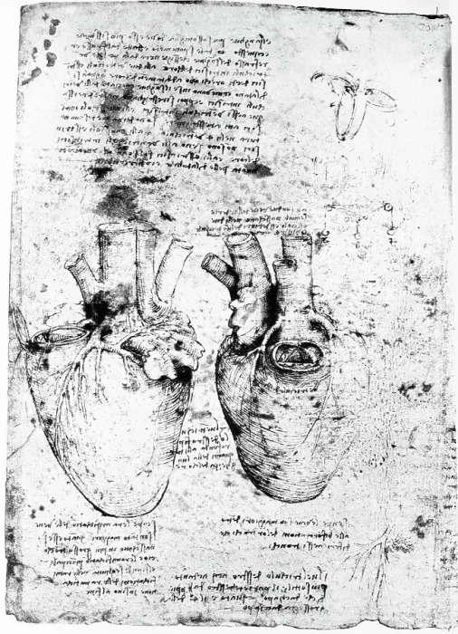 Framed Print : Drawing of the Human Heart and its Blood Vessels by Leonardo da Vinci Framed Print : Drawing of the Human Heart and its Blood Vessels by Leonardo da Vinci