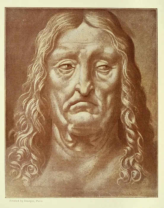 Framed Print : Drawing by Leonardo da Vinci, head of an old man, sad facial expression, renaissance art