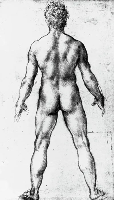 Framed Print : Drawing of a Nude Seen from Behind by Leonardo da Vinci Framed Print : Drawing of a Nude Seen from Behind by Leonardo da Vinci