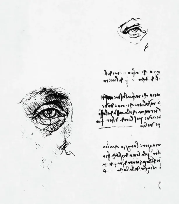 Framed Print : Drawings of the Eye by Leonardo da Vinci Framed Print : Drawings of the Eye by Leonardo da Vinci