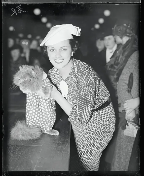 Framed Print : Well Dressed Woman Posing With Cat in Costume Framed Print : Well Dressed Woman Posing With Cat in Costume