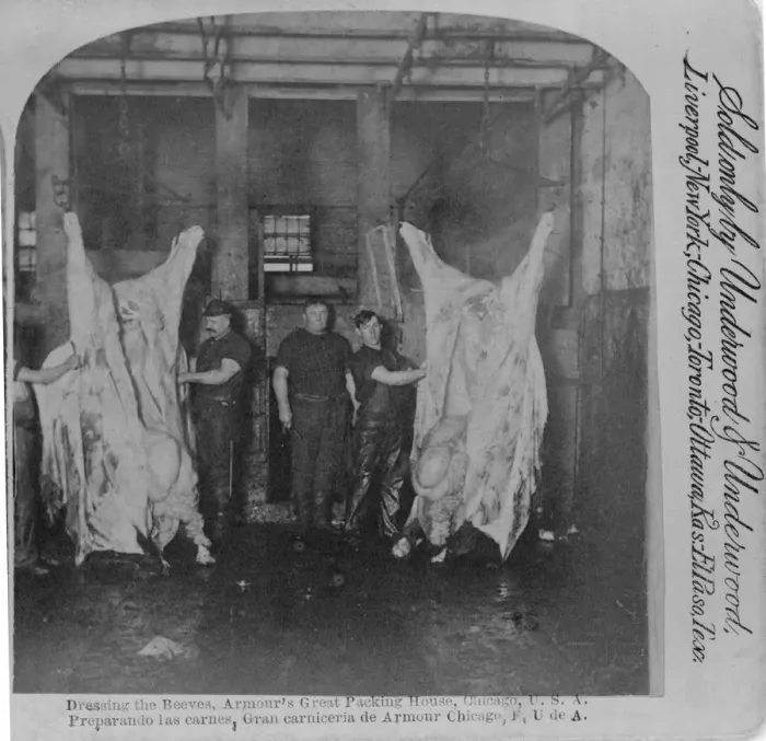 Framed Print : Dressing The Beeves Framed Print : Dressing The Beeves
