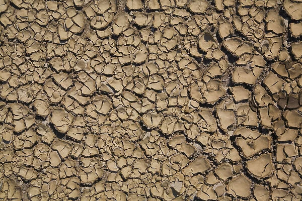 Dried and cracked mud, Quebec, Canada