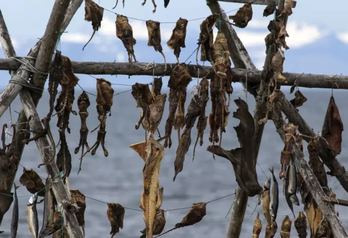 Framed Print : Dried fish, Iceland