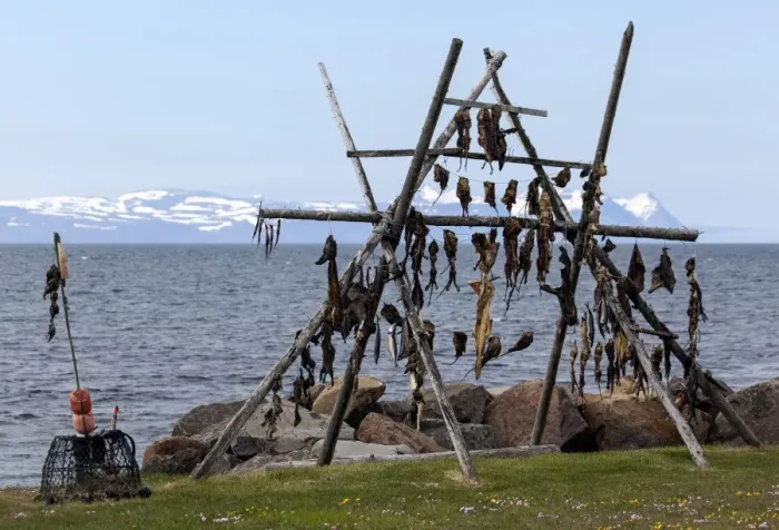 Framed Print : Dried fish, Iceland