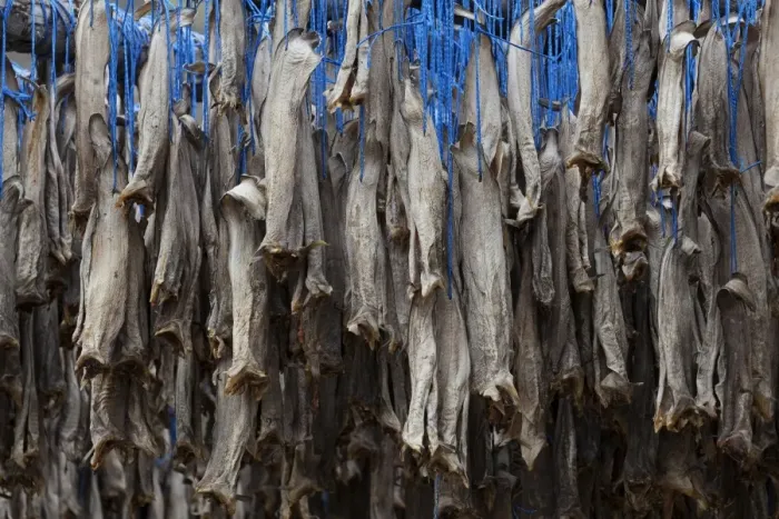 Framed Print : Dried fish, Iceland, Europe Framed Print : Dried fish, Iceland, Europe