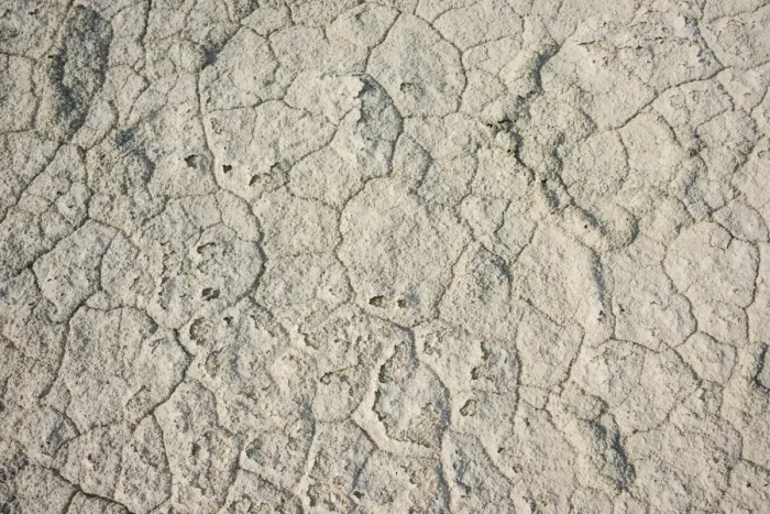 Framed Print : Dried ground, Etosha Pan, Etosha National Park, Namibia Framed Print : Dried ground, Etosha Pan, Etosha National Park, Namibia