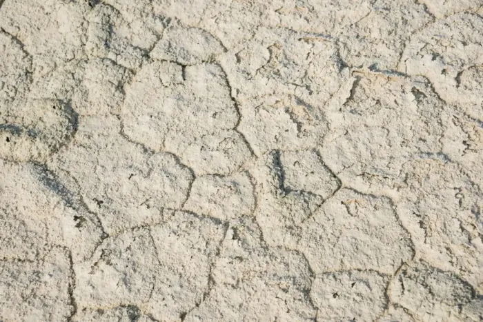 Framed Print : Dried ground, Etosha Pan, Etosha National Park, Namibia Framed Print : Dried ground, Etosha Pan, Etosha National Park, Namibia